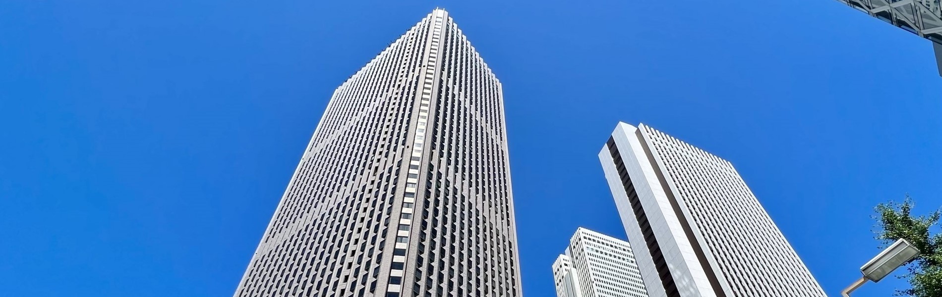 各種許認可業務・補助金申請の「日本 花子 ○○事務所」